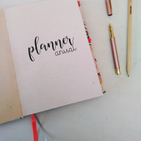 planner anual